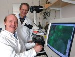 Research scientist Rutledge Ellis-Behnke, left, and Professor Gerald Schneider, both of the Department of Brain and Cognitive Sciences at MIT, worked with others to create a technique that helps rodents recover from traumatic brain injuries.