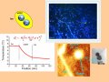 Nanoparticles