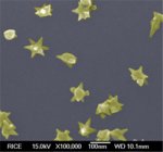 Nanostars