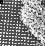 SEM images and modeling of 3D structures made on the surface through a two photon process with mask 1.