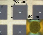 Photograph of the open membrane areas, with the inset showing a close-up of one membrane.