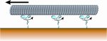 A 'crowd surfing' microtubule is propelled by kinesin motors.
