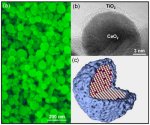 Ceria nanoparticles