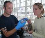 Prototype supercapacitor