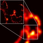 Comparison of a conventional optical image of lysosomes in a thin section taken from a cell (lower right) with a PALM image (insert at upper left) magnified from the smaller boxed region at right.