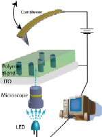 Experimental set-up