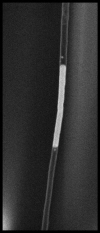 Nanowire hybrid structure