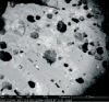 Micrograph of Etna lava