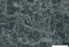 Growth of nanocarbons