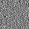 Surface detail