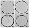 Nanorings forming