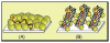 Nanostructured films