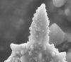 Nanospikes