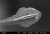 In-O-N nanospear grown on a Si substrate