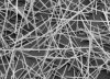 GaAs nanowires