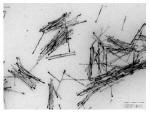 The nanowires