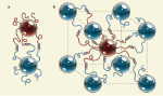 DNA assists self-assembly