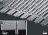 Single electron transistor array