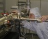 Maik Hauser of the Max Planck Institute for Solid State Research