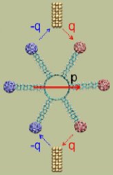 Nanorotor