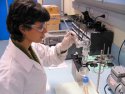 Mar Alvarez in the lab