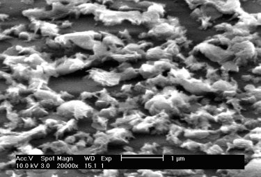 Superhydrophilic surface