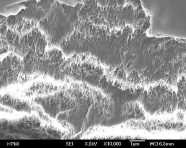 Buckypaper impregnated with polycarbonate