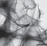 Agglomerated sheets
