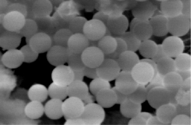 Borosilicate nanoparticles