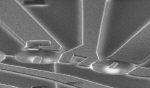 The device