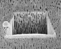The team used FIB tomography to view the porous structure in 3D