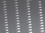 Nanowire-based device array