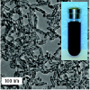Iron oxide nanocapsules