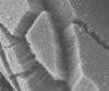 Aligned CNT arrays