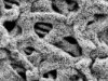 Ni silicides on foam