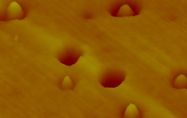Carbon nanotubes embedded in a polymer film