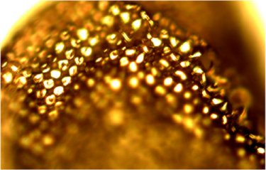 Self-standing replica of a fruit fly's compound eye