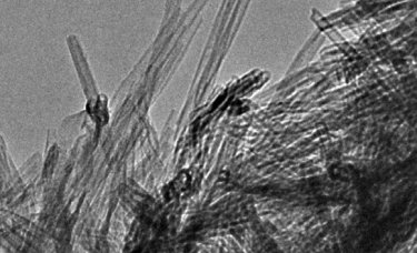 Titanate nanotubes