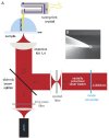 Antenna-based near-field optical microscopy