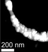 Acid-treated multi-walled carbon nanotube