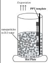 Evaporation-based technique for filling templates with particles