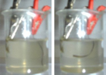 Multiwalled carbon nanotube device