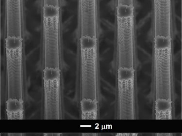 Array of nanotube-tipped silicon columns