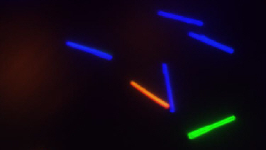 Tagged nanowires