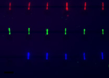 Assembled nanowires