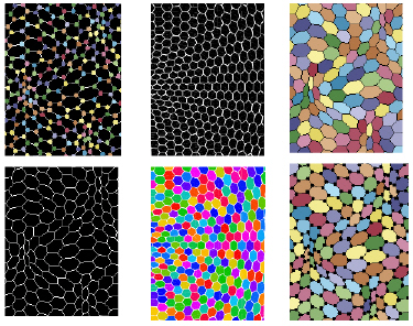 Graphene strain