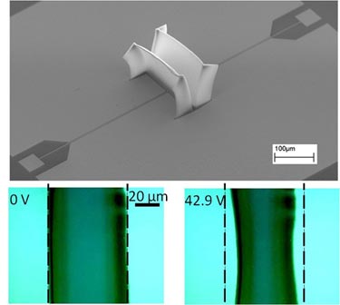 Actuator chip