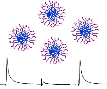 The micelles