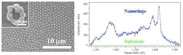 Silver nanorings in action