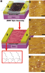 SWNT self-assembly